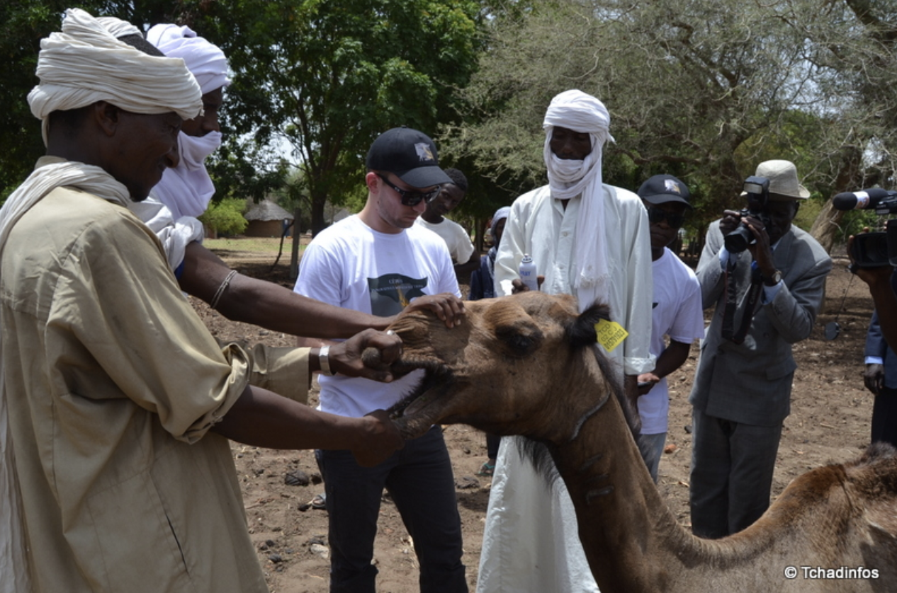 BAGHARA, une vision pour le Tchad.